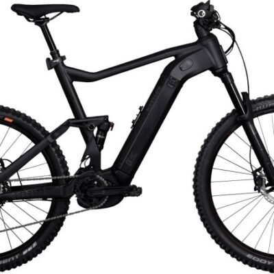 KB131 IBKD41 QUADRIGA DUO CX12 FS 1250W Akku 800x800 1.jpg
